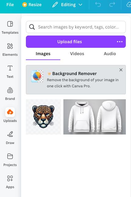 Hoodie photo uploaded into Canvas file panel