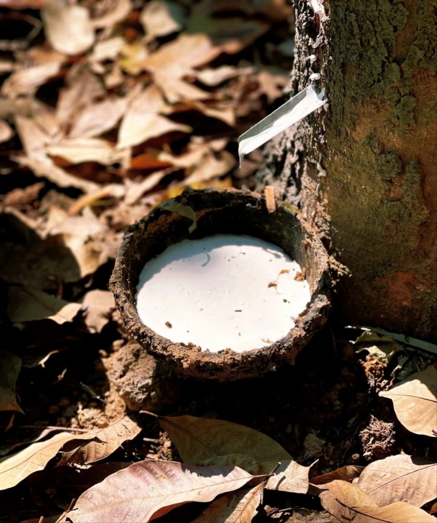 filtration and purification process for natural rubber latex