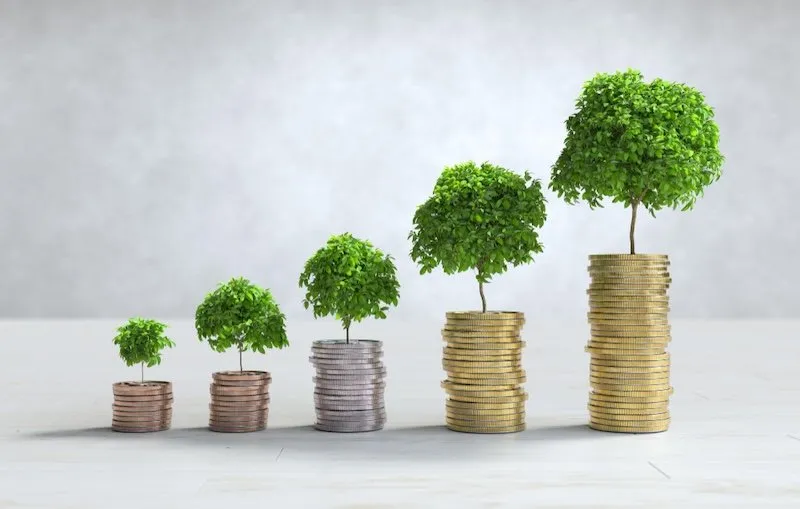 Coins and growing trees symbolizing cost and profit control